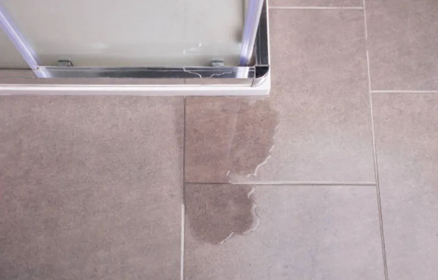 1. Water Leaks Around the Edges