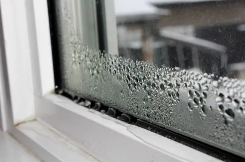 Window Leaks