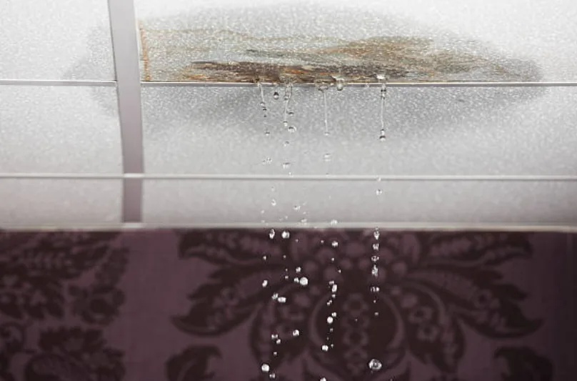 Roof Leaks