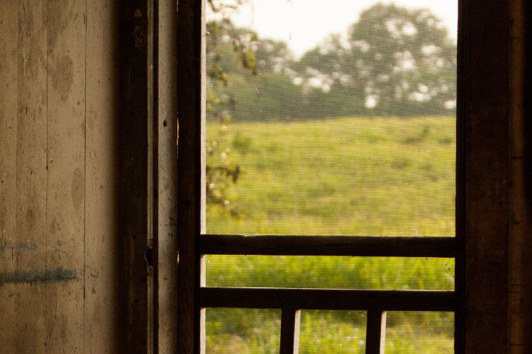 Screen door opening viewed from inside: measure frame-to-frame for accurate sizing
